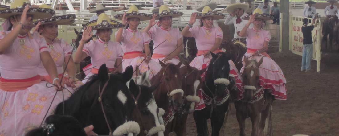 Visit Vista Paraiso Ranch for an Unforgettable Outdoor Adventure