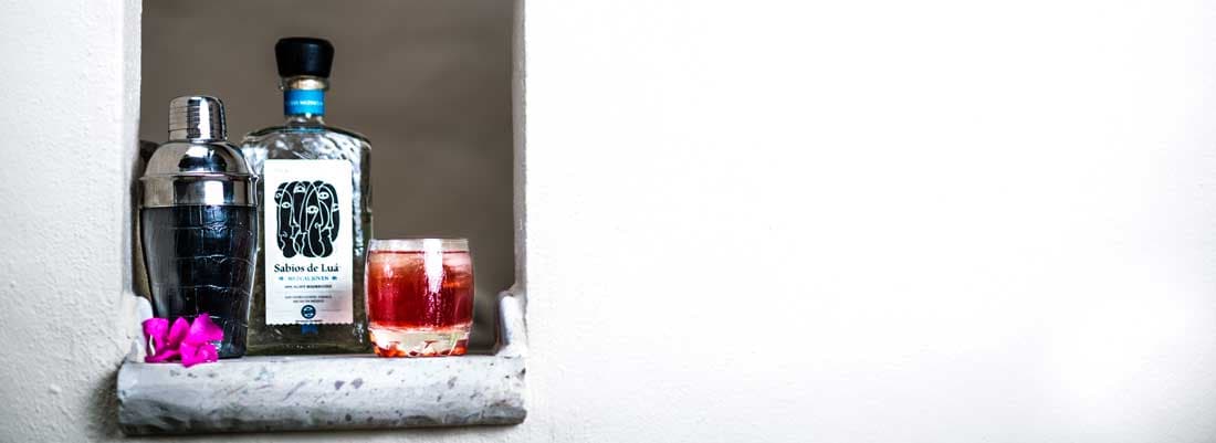 Delicious Mezcal Cocktail Recipes: Miguel’s Mezcaltini