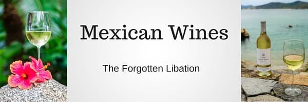 Mexican Wine – The Forgotten Libation