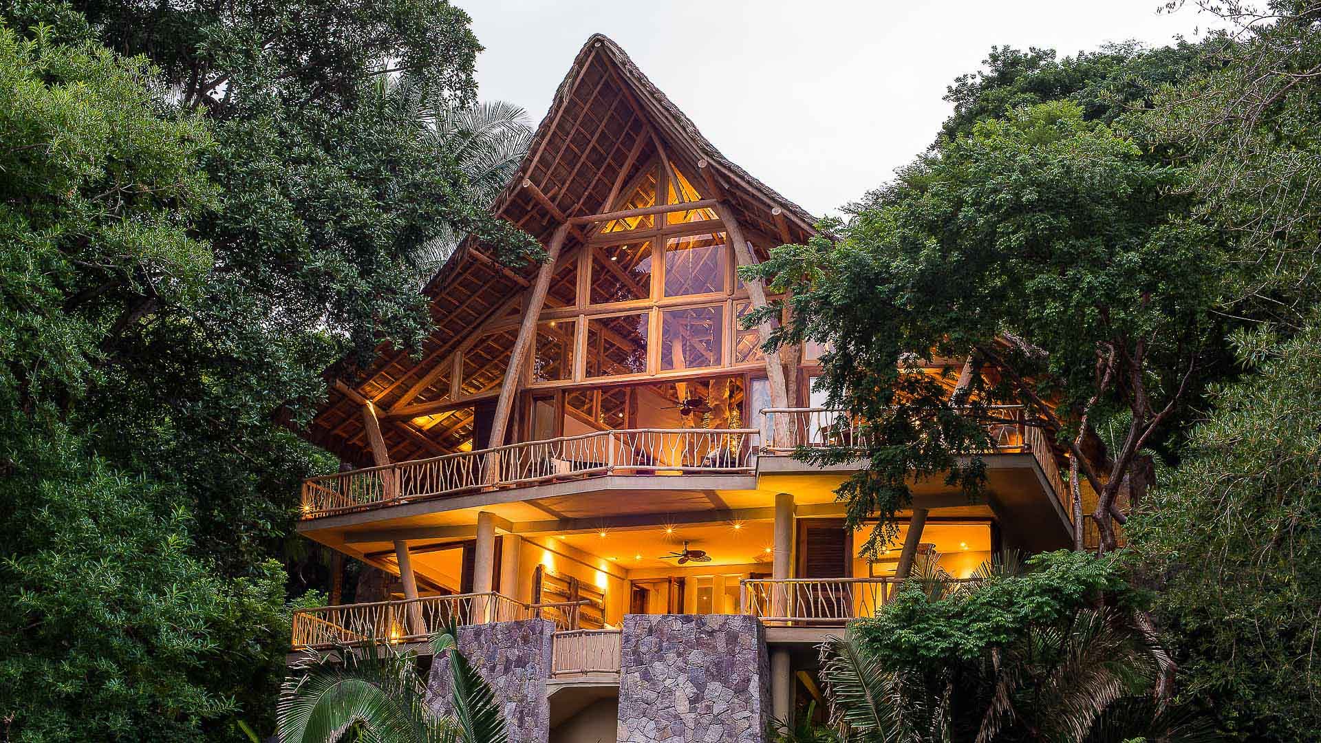 The Tree House